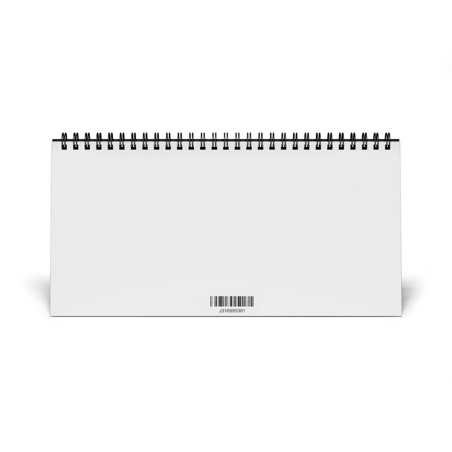 2025 MR Art Prints Desk Calendar