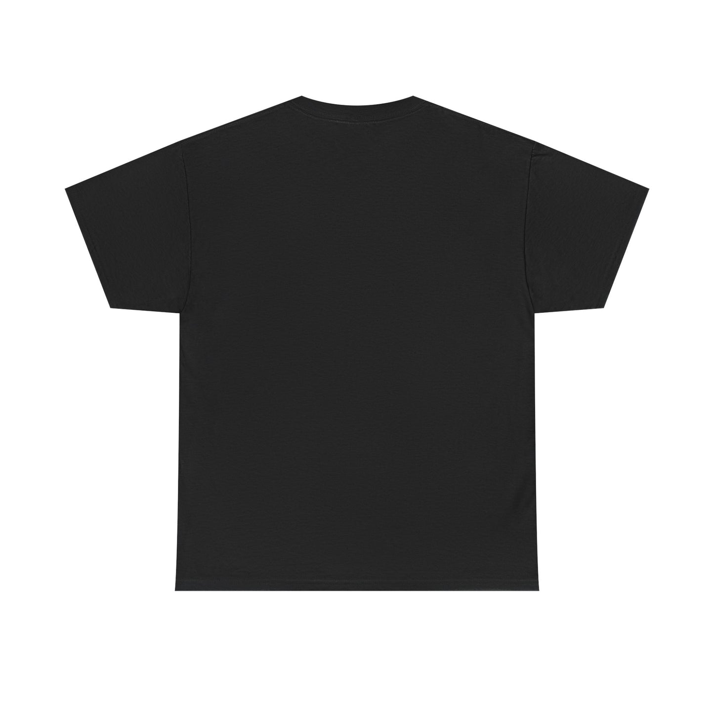 PRAY FOR US- Virgen de Guadalupe T-shirt
