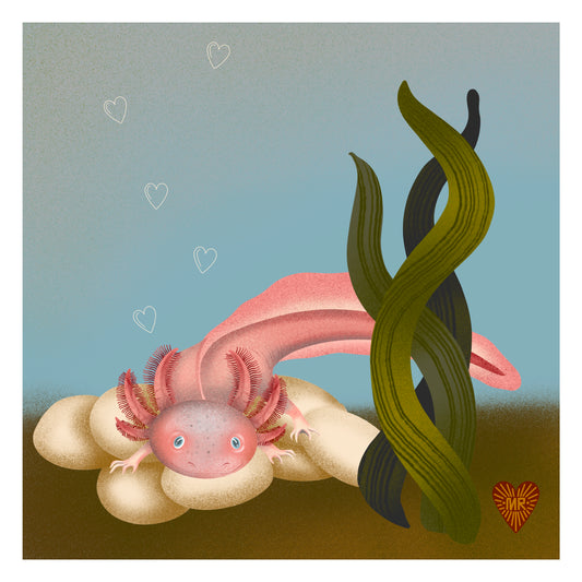 Axolotl Love
